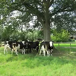 Kortenhoefsedijk Holiday home *