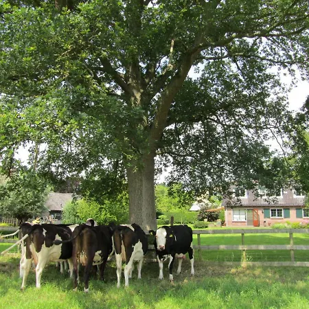 Feriehus Kortenhoefsedijk *