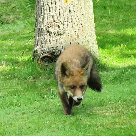 Kortenhoefsedijk Kortenhoef