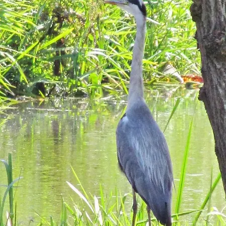 Kortenhoefsedijk * Kortenhoef