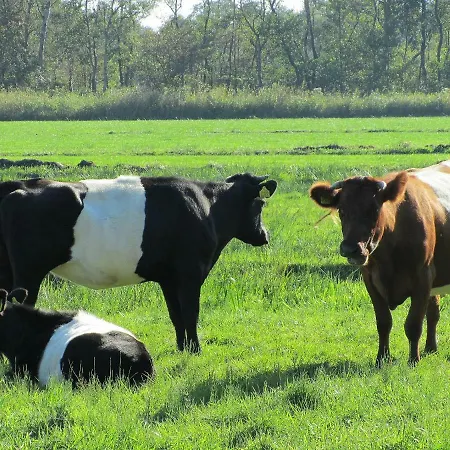Kortenhoefsedijk *