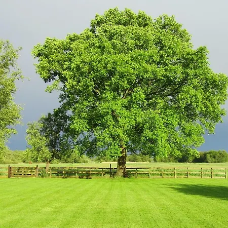 Kortenhoefsedijk * Kortenhoef