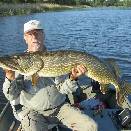 Kortenhoefsedijk * Kortenhoef