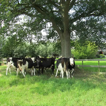 Kortenhoefsedijk 別荘 *