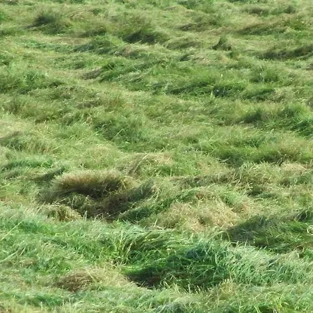 Kortenhoefsedijk Feriehus Kortenhoef