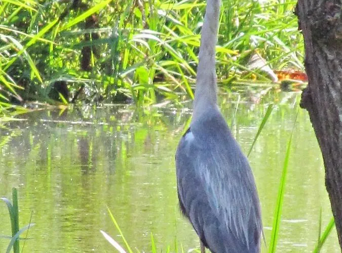 Kortenhoefsedijk * Kortenhoef