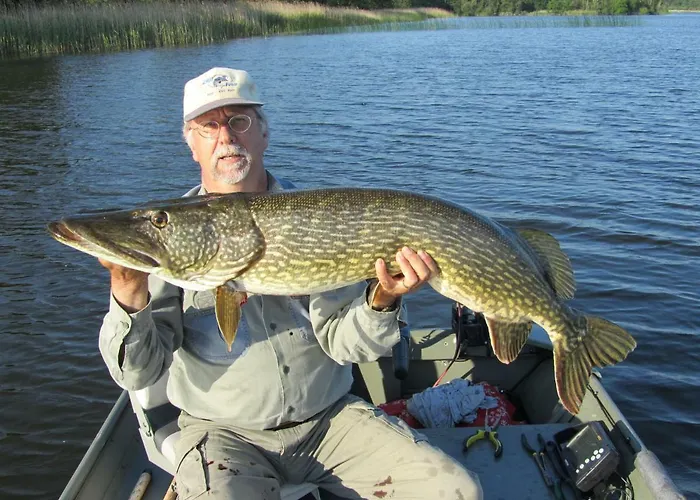 Kortenhoefsedijk * Kortenhoef