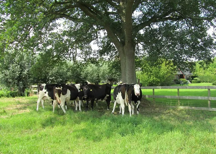 Kortenhoefsedijk 펜션 *