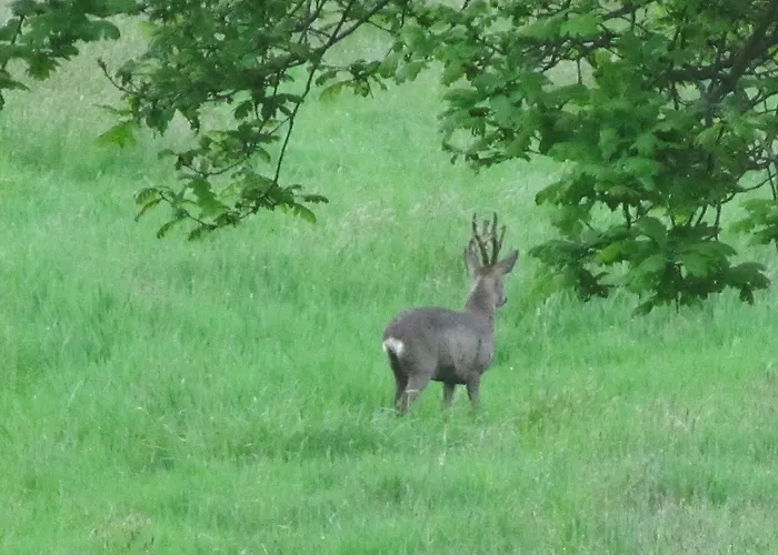Kortenhoefsedijk בית נופש *