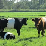 Kortenhoefsedijk *