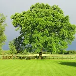 Kortenhoefsedijk * Kortenhoef