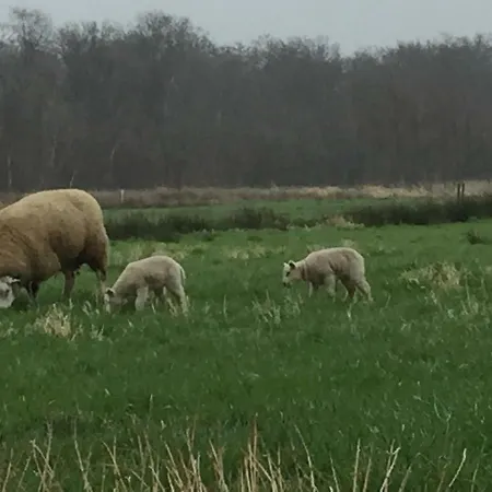 Kortenhoefsedijk *